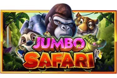7998bet